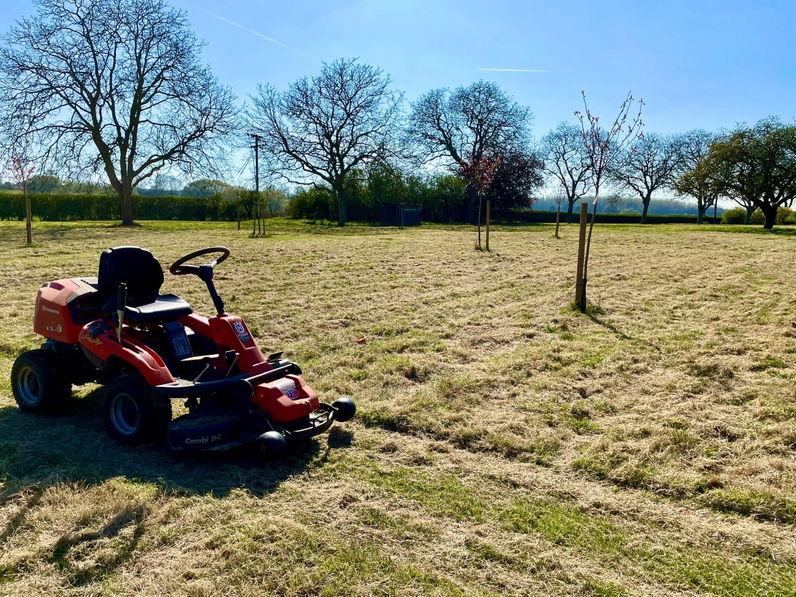 A ride-on mower on a large orchard paddock of freshly cut grass, with young staked trees and a hedge line behind